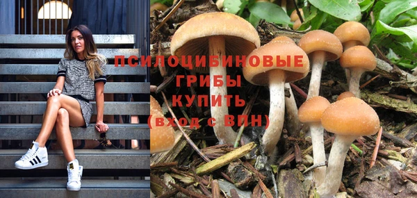 спайс Арсеньев