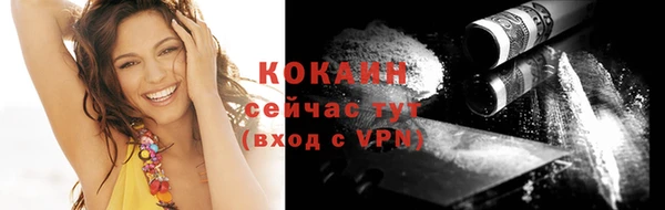 эйфоретик Аркадак