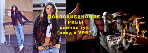 спайс Арсеньев