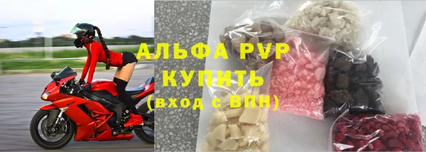 спайс Арсеньев