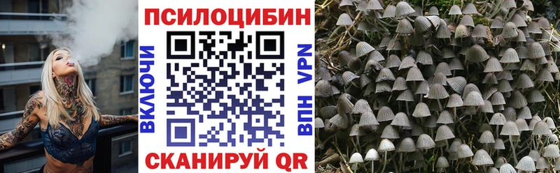 Псилоцибиновые грибы Magic Shrooms  Свирск 